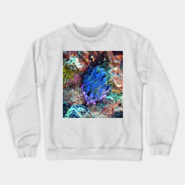 Giant Purple Sea Anemone Crewneck Sweatshirt by Scubagirlamy